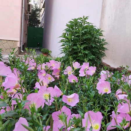 Markovo Tepe House & Garden Plovdiv Exterior photo