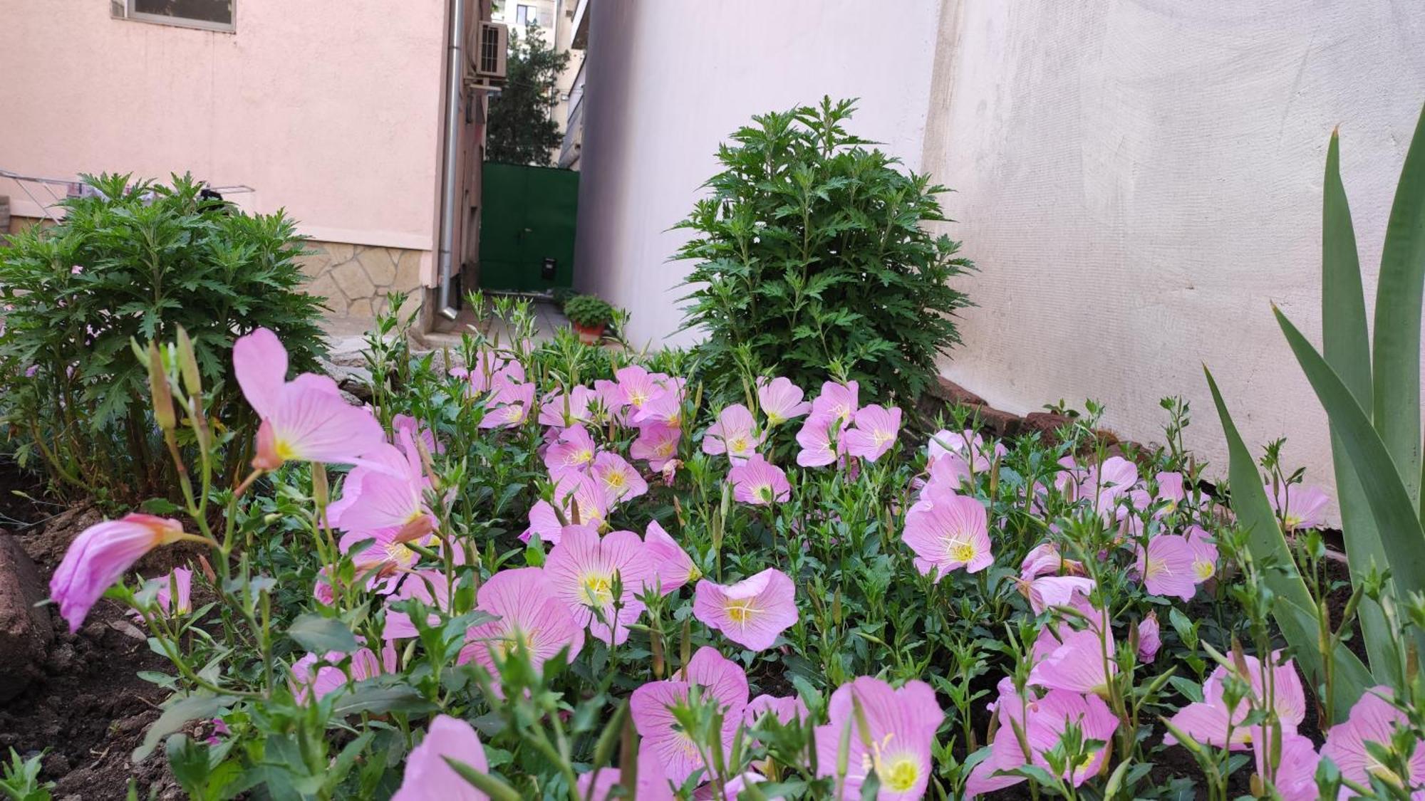 Appartamento Markovo Tepe House & Garden Plovdiv